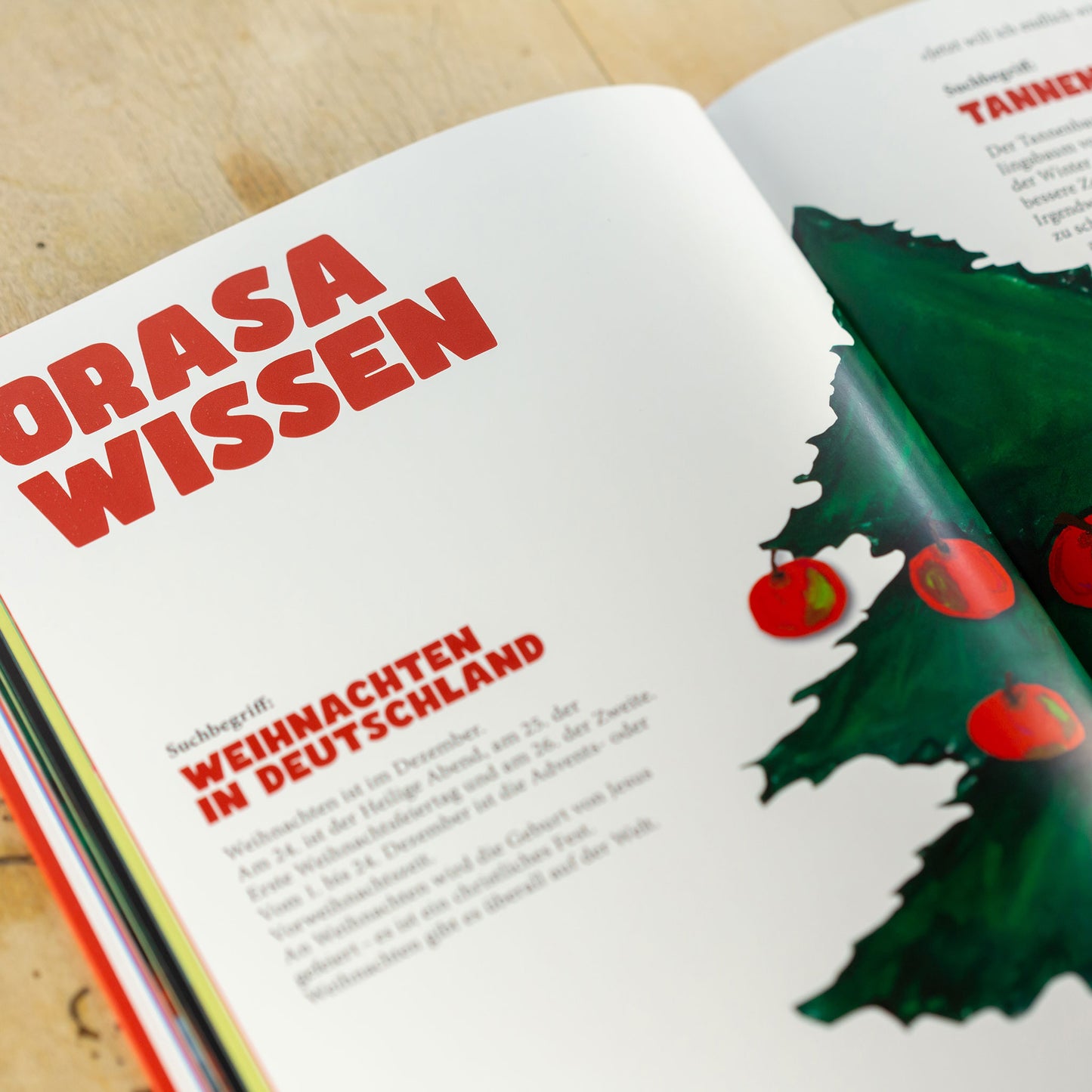 Kinderbuch "Orasabunte Weihnachten"